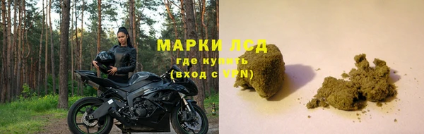гидра Гусиноозёрск
