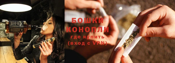 гидра Гусиноозёрск