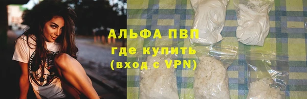 гидра Гусиноозёрск