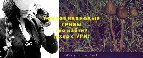 а пвп мука Дмитровск