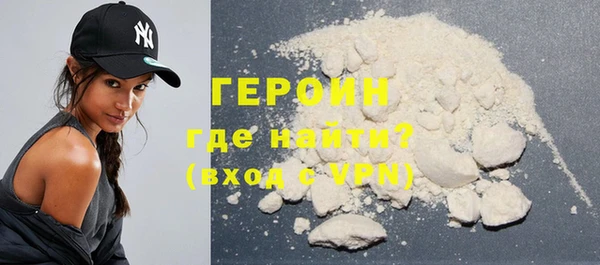 гидра Гусиноозёрск