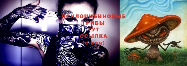 экстази Гусь-Хрустальный
